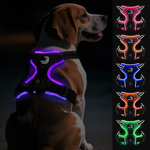 Joytale Hundegeschirr Leuchtend Aufladbar für Mittelgroße Hunde, No Pull LED Hundegeschirr Reflektierend mit Griff, Gepolstertes Leuchtgeschirr Verstellbar für Nachtspaziergang,Schwarzlila,M von Joytale