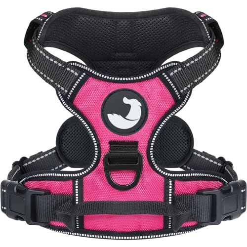 Joytale Hundegeschirr mittelgroße Hunde, reflektierendes Geschirr Hund,luftdurchlässige Hundegeschirr, verstellbares Brustgeschirr mit Griff beim Führen und Training, Rosa, M Joytale Hundegeschirr mittelgroße Hunde, reflektierendes Geschirr Hund,luftdurchlässige Hundegeschirr, verstellbares Brustgeschirr mit Griff beim Führen und Training, Rosa, M von Joytale