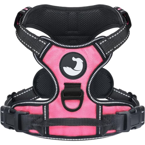 Joytale Hundegeschirr mittelgroße Hunde, reflektierendes Geschirr Hund,luftdurchlässige Hundegeschirr, verstellbares Brustgeschirr mit Griff beim Führen und Training, Pink, M Joytale Hundegeschirr mittelgroße Hunde, reflektierendes Geschirr Hund,luftdurchlässige Hundegeschirr, verstellbares Brustgeschirr mit Griff beim Führen und Training, Pink, M von Joytale