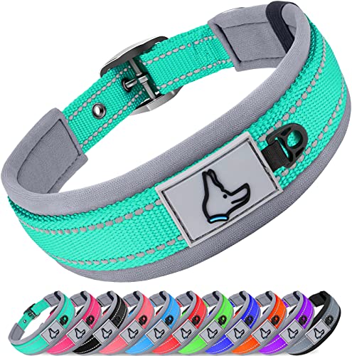 Joytale Hundehalsband, Weich Gepolstert Neopren Halsbänder für Extra Große Hunde, Nylon Reflektierend Breit Halsband Hund, Türkis von Joytale