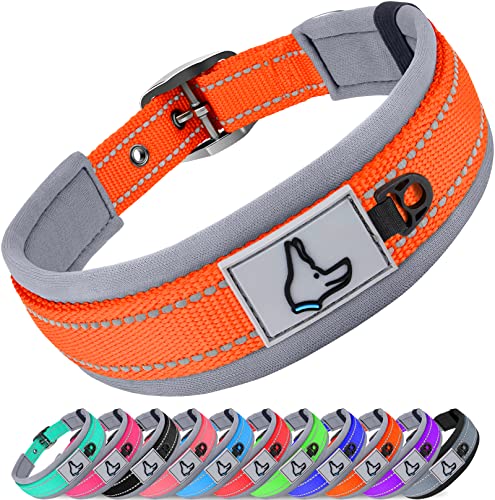 Joytale Hundehalsband, Weich Gepolstert Neopren Halsbänder für Große Hunde, Nylon Reflektierend Breit Halsband Hund, Orange von Joytale