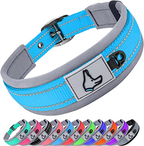 Joytale Hundehalsband, Weich Gepolstert Neopren Halsbänder für Mittlere Hunde, Nylon Reflektierend Breit Halsband Hund, Baby Blau von Joytale