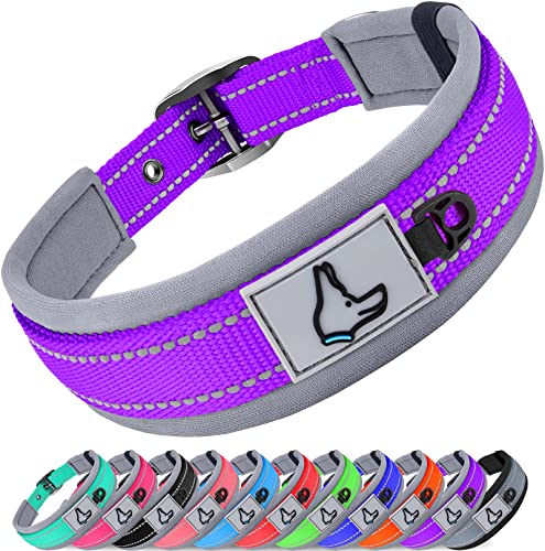 Joytale Hundehalsband, Weich Gepolstert Neopren Halsbänder für Mittlere Hunde, Nylon Reflektierend Breit Halsband Hund, Lila von Joytale