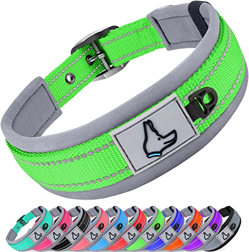 Joytale Hundehalsband, Weich Gepolstertes Neopren Breit Hunde Halsband für kleine Hunde, Verstellbares und Reflektierendes Nylon Hundehalsband, Grün von Joytale