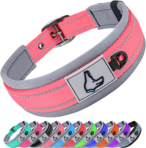 Joytale Halsband Hund, Weich Hundehalsband Gepolstert Neopren Hunde Halsband für Kleine Hunde, Nylon Reflektierend Breit Halsbänder, Pink Joytale Halsband Hund, Weich Hundehalsband Gepolstert Neopren Hunde Halsband für Kleine Hunde, Nylon Reflektierend Breit Halsbänder, Pink von Joytale
