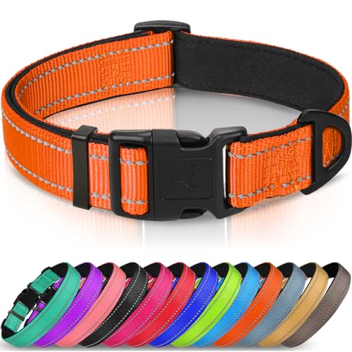 Joytale Halsband Hund, Gepolstertes Hundehalsband Breit aus Neopren Nylon Hundehalsband Verstellbar für Große Hunde, Weich und Reflektierend Hundehalsbänder, XL, Orange Joytale Halsband Hund, Gepolstertes Hundehalsband Breit aus Neopren Nylon Hundehalsband Verstellbar für Große Hunde, Weich und Reflektierend Hundehalsbänder, XL, Orange von Joytale