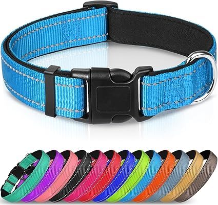 Joytale Halsband Hund, Gepolstertes Hundehalsband Breit aus Neopren Nylon Hundehalsband Verstellbar für Große Hunde, Weich und Reflektierend Hundehalsbänder, XL, Blau von Joytale