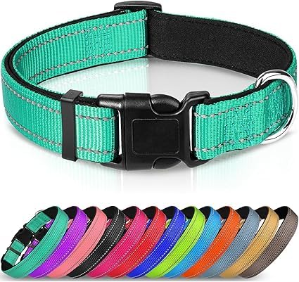 Joytale Halsband Hund, Gepolstertes Hundehalsband Breit aus Neopren Nylon Hundehalsband Verstellbar für Große Hunde, Weich und Reflektierend Hundehalsbänder, XL, Türkis Joytale Halsband Hund, Gepolstertes Hundehalsband Breit aus Neopren Nylon Hundehalsband Verstellbar für Große Hunde, Weich und Reflektierend Hundehalsbänder, XL, Türkis von Joytale