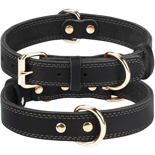 Joytale Hundehalsband Leder, Halsband aus Leder für Kleine Hunde, Weiches Echtleder Hundehalsband Langlebig und Verstellbar, Schwarz, S Joytale Hundehalsband Leder, Halsband aus Leder für Kleine Hunde, Weiches Echtleder Hundehalsband Langlebig und Verstellbar, Schwarz, S von Joytale