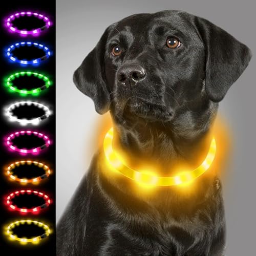 Joytale Leuchthalsband Hund, Led Hundehalsband USB Aufladbar für Große Mittel Kleine Hunde und Welpe, Hundehalsband Leuchtend mit Leucht für Sicherheit, Gelb von Joytale