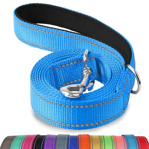 Joytale Hundeleine, 1.8/1.5/1.2m Reflektierende Leine aus Nylon mit Gepolstertem Griff für Große Mittel Hunde, 1.5m × 2.5cm, Blau von Joytale