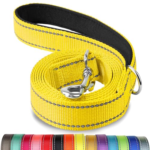 Joytale Hundeleine Kleine Hunde Leicht, Doppelseitig Reflektierende Leine Hund aus Nylon mit Gepolstertem Griff, 1,5m x 2cm, Gelb Joytale Hundeleine Kleine Hunde Leicht, Doppelseitig Reflektierende Leine Hund aus Nylon mit Gepolstertem Griff, 1,5m x 2cm, Gelb von Joytale