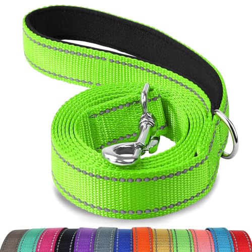 Joytale Hundeleine, 1.8/1.5/1.2m Reflektierende Leine aus Nylon mit Gepolstertem Griff für Große Mittel Hunde, 1.5m × 2.5cm, Grün von Joytale