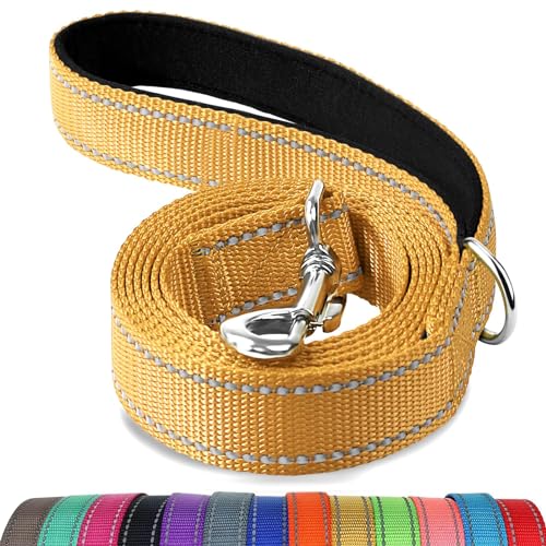 Joytale Hundeleine Kleine Hunde Leicht, Doppelseitig Reflektierende Leine Hund aus Nylon mit Gepolstertem Griff, 1,5m x 2cm, Braun Joytale Hundeleine Kleine Hunde Leicht, Doppelseitig Reflektierende Leine Hund aus Nylon mit Gepolstertem Griff, 1,5m x 2cm, Braun von Joytale
