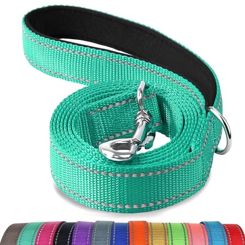 Joytale Hundeleine Kleine Hunde Leicht, Doppelseitig Reflektierende Leine Hund aus Nylon mit Gepolstertem Griff, 1,5m x 2cm, Türkis Joytale Hundeleine Kleine Hunde Leicht, Doppelseitig Reflektierende Leine Hund aus Nylon mit Gepolstertem Griff, 1,5m x 2cm, Türkis von Joytale
