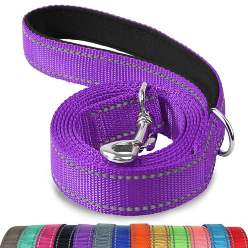 Joytale Hundeleine, 1.8/1.5/1.2m Reflektierende Leine aus Nylon mit Gepolstertem Griff für Große Mittel Hunde, 1.2m × 2.5cm, Lila von Joytale