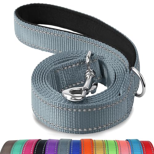 Joytale Hundeleine Kleine Hunde Leicht, Doppelseitig Reflektierende Leine Hund aus Nylon mit Gepolstertem Griff, 1,8m x 2cm, Grau Joytale Hundeleine Kleine Hunde Leicht, Doppelseitig Reflektierende Leine Hund aus Nylon mit Gepolstertem Griff, 1,8m x 2cm, Grau von Joytale