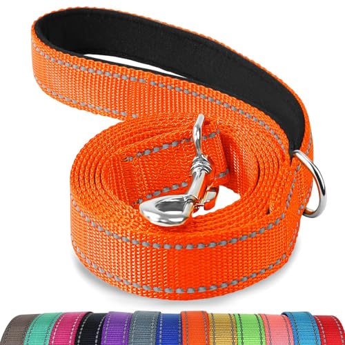 Joytale Hundeleine, 1.8/1.5/1.2m Reflektierende Leine aus Nylon mit Gepolstertem Griff für Kleine Mittel Hunde, 1.8m × 2cm, Orange von Joytale