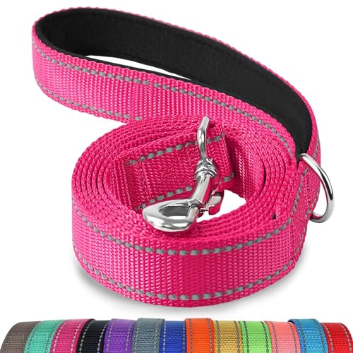 Joytale Hundeleine, 1.8/1.5/1.2m Reflektierende Leine aus Nylon mit Gepolstertem Griff für Große Mittel Hunde, 1.8m × 2.5cm, Hotpink von Joytale