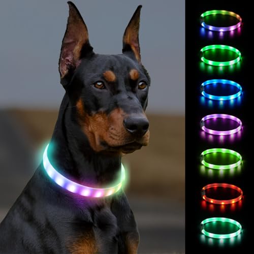 Joytale Leuchthalsband Hund, Hundehalsband Leuchtend Aufladbar, Längenverstellbar Led Hundehalsband mit 9 Leuchtmodi, Regendicht Hunde Leuchthalsband für Kleine Mittlere Große Hunde, 70 cm Joytale Leuchthalsband Hund, Hundehalsband Leuchtend Aufladbar, Längenverstellbar Led Hundehalsband mit 9 Leuchtmodi, Regendicht Hunde Leuchthalsband für Kleine Mittlere Große Hunde, 70 cm von Joytale