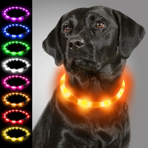 Joytale Leuchthalsband Hund USB Aufladbar Hundehalsband Leuchtend für Große Mittel Kleine Hunde und Welpe, Led Halsband mit 3 Modi für Sicherheit, Orange Joytale Leuchthalsband Hund USB Aufladbar Hundehalsband Leuchtend für Große Mittel Kleine Hunde und Welpe, Led Halsband mit 3 Modi für Sicherheit, Orange von Joytale