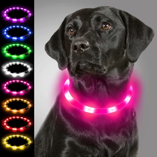 Joytale Leuchthalsband Hund USB Aufladbar Hundehalsband Leuchtend für Große Mittel Kleine Hunde und Welpe, Led Halsband mit 3 Modi für Sicherheit, Rosa Joytale Leuchthalsband Hund USB Aufladbar Hundehalsband Leuchtend für Große Mittel Kleine Hunde und Welpe, Led Halsband mit 3 Modi für Sicherheit, Rosa von Joytale