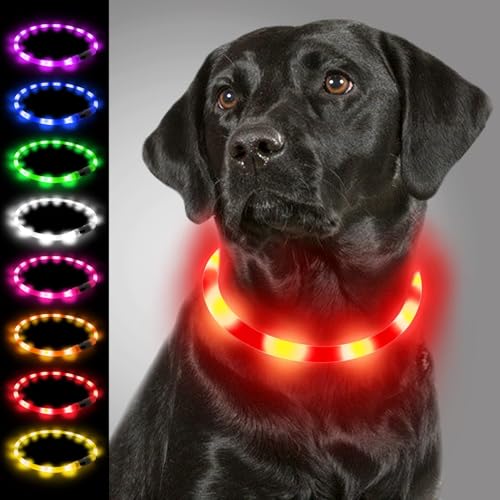 Joytale Leuchthalsband Hund USB Aufladbar Hundehalsband Leuchtend für Große Mittel Kleine Hunde und Welpe, Led Halsband mit 3 Modi für Sicherheit, Rot Joytale Leuchthalsband Hund USB Aufladbar Hundehalsband Leuchtend für Große Mittel Kleine Hunde und Welpe, Led Halsband mit 3 Modi für Sicherheit, Rot von Joytale