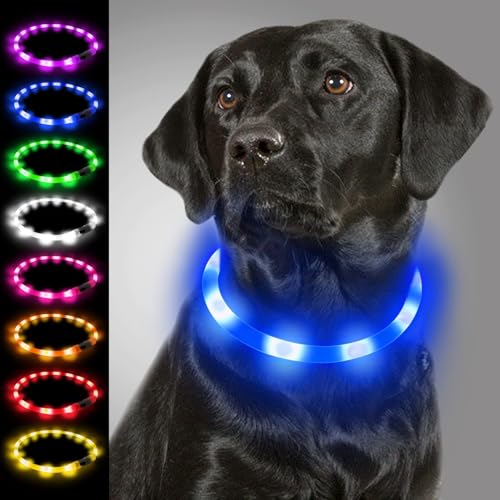 Joytale Leuchthalsband Hund USB Aufladbar Hundehalsband Leuchtend für Große Mittel Kleine Hunde und Welpe, Led Halsband mit 3 Modi für Sicherheit, Blau Joytale Leuchthalsband Hund USB Aufladbar Hundehalsband Leuchtend für Große Mittel Kleine Hunde und Welpe, Led Halsband mit 3 Modi für Sicherheit, Blau von Joytale