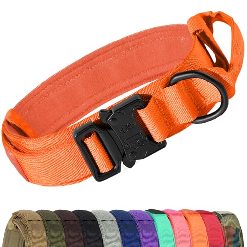 Joytale Taktisches Hundehalsband mit Griff Halsband Hund 3.8 cm Breit Hundehalsband für Mittelgroße Hunde Verstellbar aus Nylon, Orange, M Joytale Taktisches Hundehalsband mit Griff Halsband Hund 3.8 cm Breit Hundehalsband für Mittelgroße Hunde Verstellbar aus Nylon, Orange, M von Joytale
