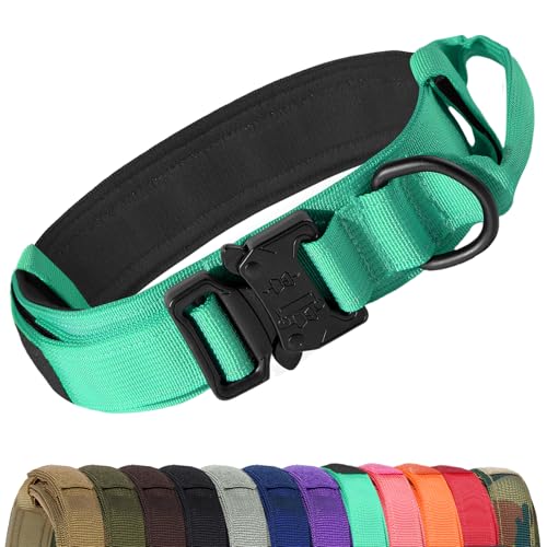 Joytale Taktisches Hundehalsband mit Griff Halsband Hund 3.8 cm Breit Hundehalsband für Mittelgroße Hunde Verstellbar aus Nylon, Türkis, M Joytale Taktisches Hundehalsband mit Griff Halsband Hund 3.8 cm Breit Hundehalsband für Mittelgroße Hunde Verstellbar aus Nylon, Türkis, M von Joytale