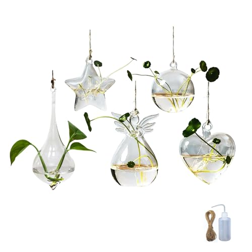 JoyuHome Hängendes Glas-Terrarium, 5 Stück, Blumen-Pflanzgefäß, hängendes Glas für Hydrokulturpflanzen, Luftpflanzen, transparente Terrarienvase, Dekoration, Pflanzenschneide-Anzucht-Pflanzgefäß, von JoyuHome
