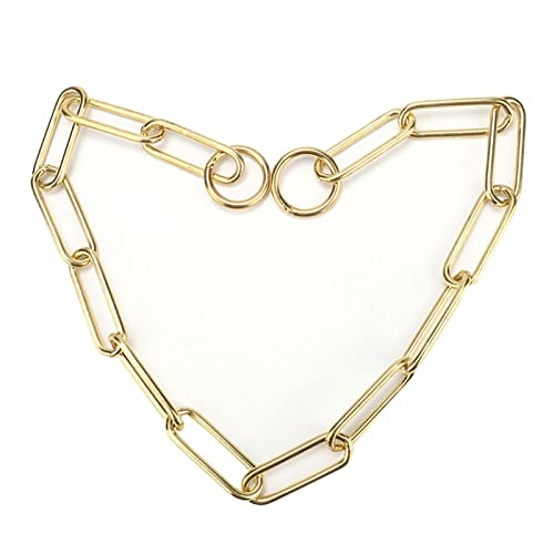 Joyzan Hundehalsband für Hunde, Hundehalsbänder, Kauversuch, Gold, Halbstrobe aus Metall, strapazierfähig, klein, mittelgroß, Training, Füße, Sicherheitskontrolle Joyzan Hundehalsband für Hunde, Hundehalsbänder, Kauversuch, Gold, Halbstrobe aus Metall, strapazierfähig, klein, mittelgroß, Training, Füße, Sicherheitskontrolle von Joyzan