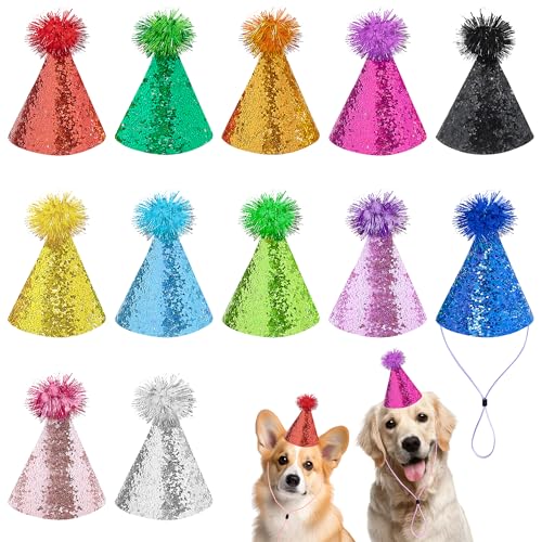JpGdn 12 x Hunde-Geburtstagsparty-Hüte für große XL-Rassen, riesig mit Pompons für Urlaub, Geburtstag, Hochzeit, Kostümzubehör von JpGdn