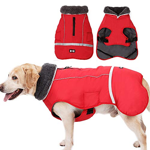 Wasserdichter, winddichter Hundemantel für kaltes Wetter, warme Hundekleidung, Kleidung, Jacken für kleine, große, mittelgroße Mädchen, Jungen, Outdoor-Indoor-Aktivitäten, Mantel (rot, groß) von Jranter