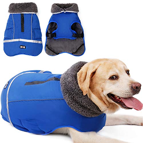 Wasserdichter, winddichter Hundemantel für kaltes Wetter, warme Hundekleidung, Kleidung, Jacken für kleine, große, mittelgroße Mädchen, Jungen, Outdoor-Indoor-Aktivitäten (blau, XXL) von Jranter