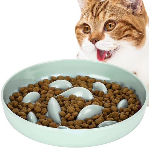 JuWow Futternapf für Katzen, rutschfestes Wal-Design und erhöhter Rand, auslaufsicher, für Kätzchen, Grün JuWow Futternapf für Katzen, rutschfestes Wal-Design und erhöhter Rand, auslaufsicher, für Kätzchen, Grün von JuWow