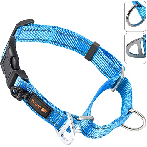 JuWow Martingale Nylon-Sicherheitstrainingshalsband, reflektierend, verstellbar, strapazierfähig, für kleine, Trainingshalsband für Training (blau, 33–35.6 cm Halsx1.9 cm breit) von JuWow