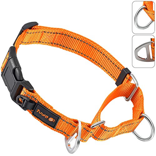 JuWow Martingale Nylon-Sicherheitstrainingshalsband, reflektierend, verstellbar, strapazierfähig, für kleine, Trainingshalsband für Training (orange, 35.6–43.2 cm Halsx2.5 cm breit) von JuWow