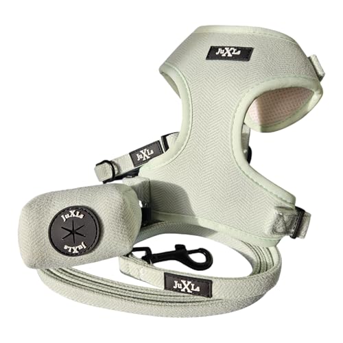 Hundeset, Halsband, Leine, Beutelspender, Geschirrset, Geschenk Hund, schick, praktisch, Everyday, Dog School, kleine Hunde bis 10kg, Everyday for Everyone, Starterset (Grün) von JuXLs