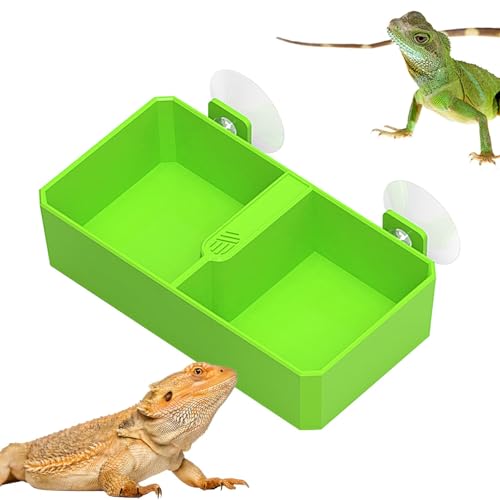 2 Stück Saugnapf Reptilien Feeder Saugnapf Reptilien Futternapf Reptilien Futternapf 2 Gitter Reptilien Feeder Wasserschalen für Reptilien Gecko Futternapf Futternapf Bartagrachen 2 Stück Saugnapf Reptilien Feeder Saugnapf Reptilien Futternapf Reptilien Futternapf 2 Gitter Reptilien Feeder Wasserschalen für Reptilien Gecko Futternapf Futternapf Bartagrachen von Jubepk
