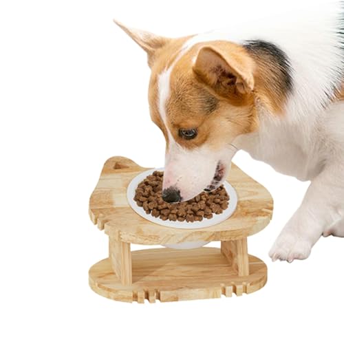 Erhöhter Napf für Kätzchen, abnehmbare geneigte Fütterung, Näpfe Niedliche Katze, Futternäpfe Ergonomisch, Futternäpfe Zuhause Futternapf Käfig Futternapf Boden Futternapf Verstellbare Katzennäpfe Erhöhter Napf für Kätzchen, abnehmbare geneigte Fütterung, Näpfe Niedliche Katze, Futternäpfe Ergonomisch, Futternäpfe Zuhause Futternapf Käfig Futternapf Boden Futternapf Verstellbare Katzennäpfe von Jubepk