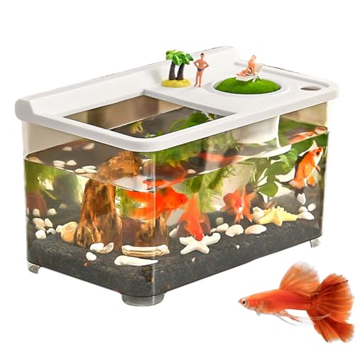 Jubepk Kleines Aquarium Mit 3 Farben Beleuchtung - Hochtransparenter Tank,Hydroponisches 360° Hochtransparentes Nanoaquarium Für Wohnzimmer Tischeingang Hauslandschaft Arbeitsplatz Jubepk Kleines Aquarium Mit 3 Farben Beleuchtung - Hochtransparenter Tank,Hydroponisches 360° Hochtransparentes Nanoaquarium Für Wohnzimmer Tischeingang Hauslandschaft Arbeitsplatz von Jubepk