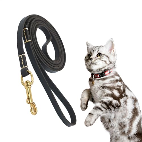 Jubepk No Pull Rope, Dog Training Behavior Aids, Safety Belt, Ergonomic Lightweight Design 61.02x0.24x0.04 inches for Walking and Training, Effective Training Tool for Dogs, Secure Jubepk No Pull Rope, Dog Training Behavior Aids, Safety Belt, Ergonomic Lightweight Design 61.02x0.24x0.04 inches for Walking and Training, Effective Training Tool for Dogs, Secure von Jubepk