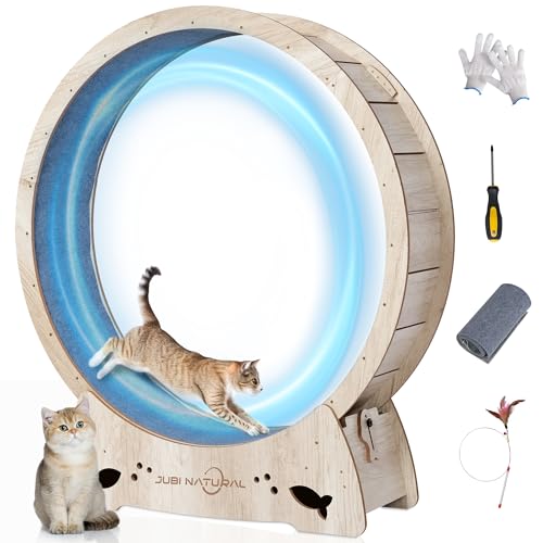 JubiNatural Katzen-Trainingsrad, 50 Zoll Katzenlaufrad für Indoor-Katzen mit Verriegelungsmechanismus, Katzen-Laufband-Räder mit leiser Teppichlaufbahn, Gewichtsverlust und Gesundheit der Katze JubiNatural Katzen-Trainingsrad, 50 Zoll Katzenlaufrad für Indoor-Katzen mit Verriegelungsmechanismus, Katzen-Laufband-Räder mit leiser Teppichlaufbahn, Gewichtsverlust und Gesundheit der Katze von JubiNatural