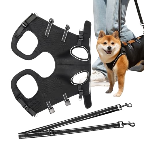 Hundeaufzugsgurt - Welpe Recovery Lift Stützgurte | Atmungsaktiv Bequem Verstellbarer Älterer Hundeheber Zum Gehen Im Freien Im Freien Bequemes Und Lang Anhaltendes Design: Mit Tränenresistenten Elast Hundeaufzugsgurt - Welpe Recovery Lift Stützgurte | Atmungsaktiv Bequem Verstellbarer Älterer Hundeheber Zum Gehen Im Freien Im Freien Bequemes Und Lang Anhaltendes Design: Mit Tränenresistenten Elast von Jubilofex