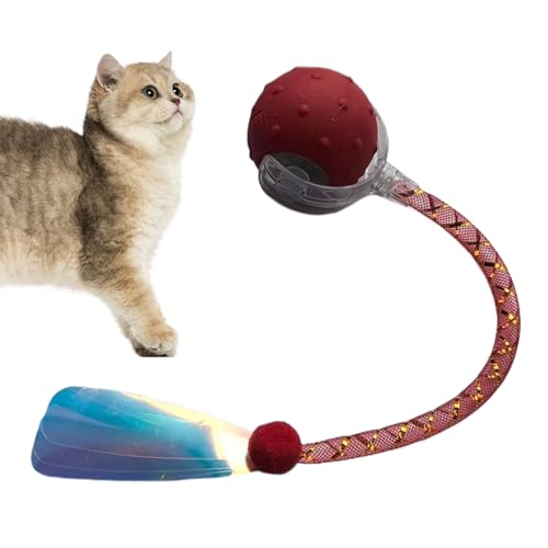 Jubilofex Automatisches Katzenspielzeug – automatisches intelligentes Spielzeug für Katzen mit elastischem Netzschwanz – elektrisches Katzenspielzeug für psychische Stimulation, Übung, Kratzbaum und Jubilofex Automatisches Katzenspielzeug – automatisches intelligentes Spielzeug für Katzen mit elastischem Netzschwanz – elektrisches Katzenspielzeug für psychische Stimulation, Übung, Kratzbaum und von Jubilofex