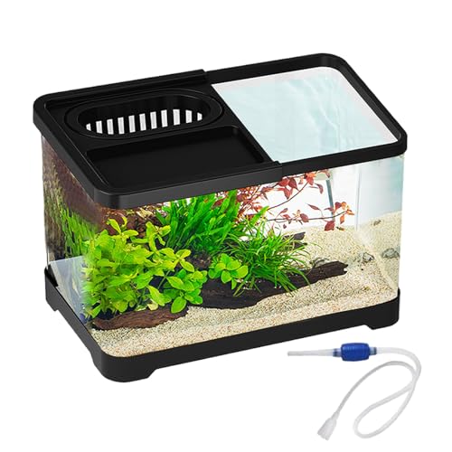 Jubilofex Betta Aquarium | Kampffisch Landschaft Aquarium Komplettset - Klare Landschaftsbecken Für Guppys Schnecken Schildkröten Haustierliebhaber Anfänger Schreibtisch Wohnung Jubilofex Betta Aquarium | Kampffisch Landschaft Aquarium Komplettset - Klare Landschaftsbecken Für Guppys Schnecken Schildkröten Haustierliebhaber Anfänger Schreibtisch Wohnung von Jubilofex