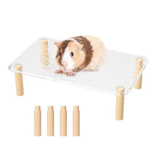 Jubilofex Hamster Spielplatz | Tisch Für Hamster, Abnehmbar Und Verstellbar | Kleintier Spielzeug Mit Flaschenhalterung, Leiter, Futternapf Und Tränke Für Haustiere Jubilofex Hamster Spielplatz | Tisch Für Hamster, Abnehmbar Und Verstellbar | Kleintier Spielzeug Mit Flaschenhalterung, Leiter, Futternapf Und Tränke Für Haustiere von Jubilofex