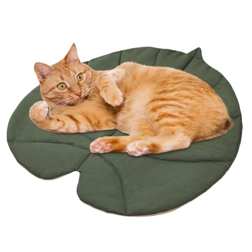 Jubilofex Hundematte, Blätter geformte warme - weicher waschbarer Pad Beschützer gemütlicher für Autobodensofa Bett Stuhl Reisen Camping Camping Jubilofex Hundematte, Blätter geformte warme - weicher waschbarer Pad Beschützer gemütlicher für Autobodensofa Bett Stuhl Reisen Camping Camping von Jubilofex