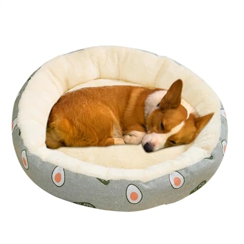 Jubilofex Runde kleine Hundebett, maschinenwaschbares Haustier Schlafbett - Plüschhundkissenbett, warmes gemütliches weiches Nest für Hunde und Katzen, alle Jahreszeiten Jubilofex Runde kleine Hundebett, maschinenwaschbares Haustier Schlafbett - Plüschhundkissenbett, warmes gemütliches weiches Nest für Hunde und Katzen, alle Jahreszeiten von Jubilofex